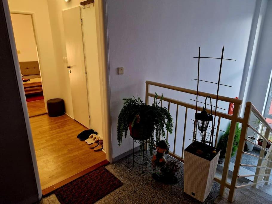 Slnecny Byt V Blizkosti Historickeho Centra Trenčín Eksteriør bilde